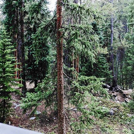 Powderhorn C202 Condo Breckenridge Εξωτερικό φωτογραφία