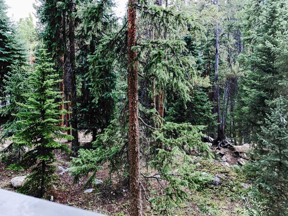 Powderhorn C202 Condo Breckenridge Εξωτερικό φωτογραφία